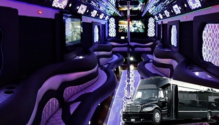 Affordable Party Buses in Chicago, IL